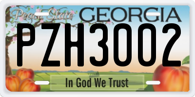 GA license plate PZH3002