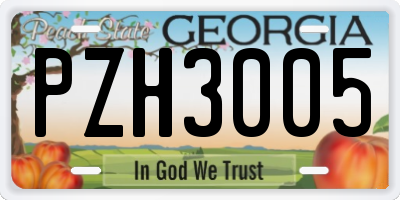 GA license plate PZH3005
