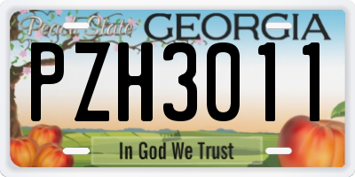 GA license plate PZH3011