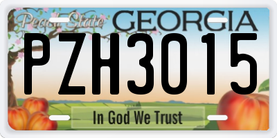 GA license plate PZH3015