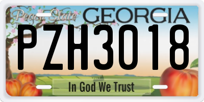 GA license plate PZH3018
