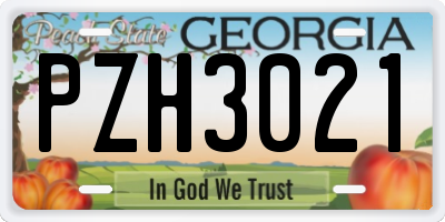 GA license plate PZH3021