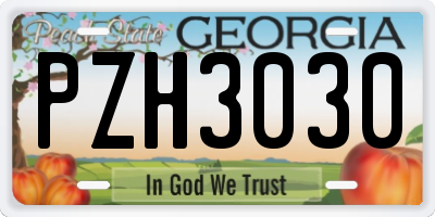 GA license plate PZH3030