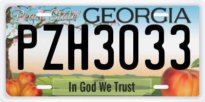 GA license plate PZH3033