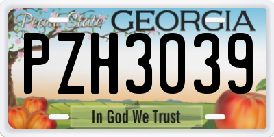 GA license plate PZH3039