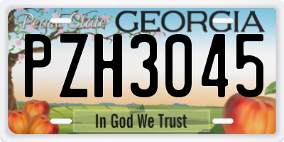 GA license plate PZH3045
