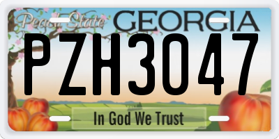 GA license plate PZH3047
