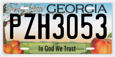 GA license plate PZH3053