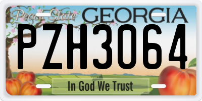 GA license plate PZH3064
