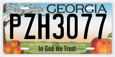 GA license plate PZH3077