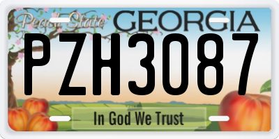 GA license plate PZH3087