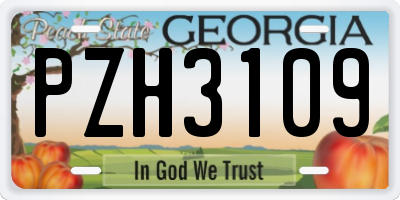 GA license plate PZH3109