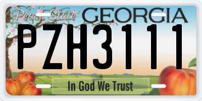 GA license plate PZH3111