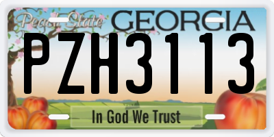 GA license plate PZH3113