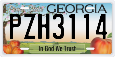 GA license plate PZH3114
