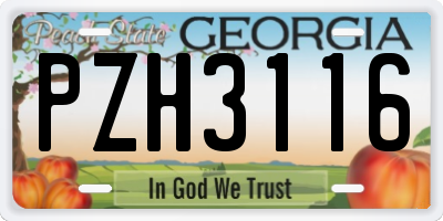 GA license plate PZH3116