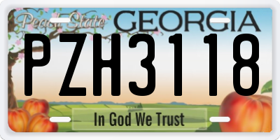 GA license plate PZH3118