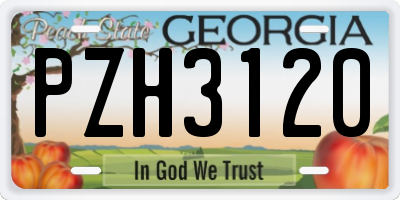 GA license plate PZH3120