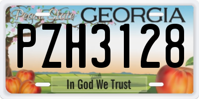 GA license plate PZH3128