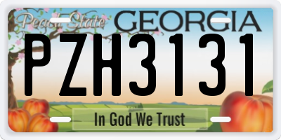GA license plate PZH3131