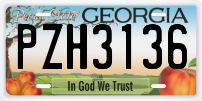GA license plate PZH3136