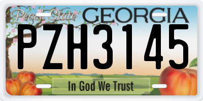 GA license plate PZH3145