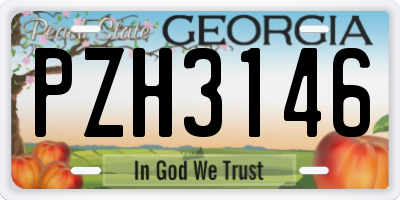 GA license plate PZH3146