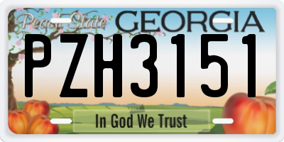 GA license plate PZH3151