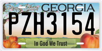 GA license plate PZH3154