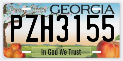 GA license plate PZH3155