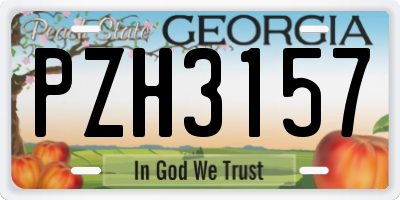 GA license plate PZH3157