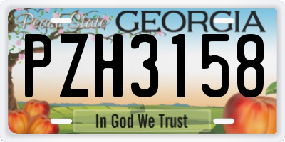 GA license plate PZH3158