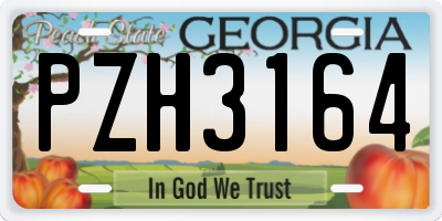 GA license plate PZH3164
