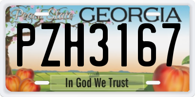 GA license plate PZH3167