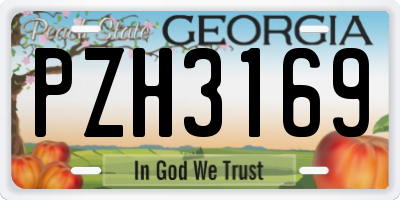 GA license plate PZH3169
