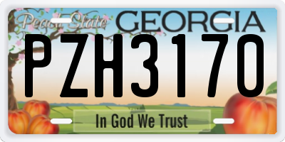 GA license plate PZH3170