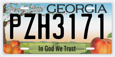 GA license plate PZH3171