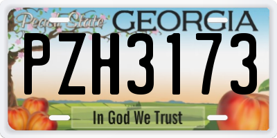 GA license plate PZH3173