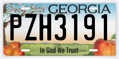 GA license plate PZH3191