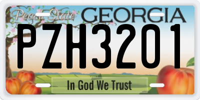GA license plate PZH3201