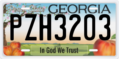 GA license plate PZH3203