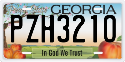 GA license plate PZH3210