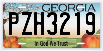GA license plate PZH3219