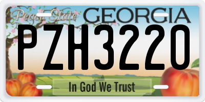 GA license plate PZH3220