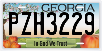 GA license plate PZH3229