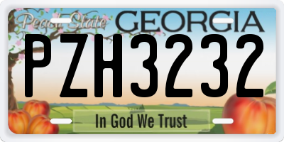 GA license plate PZH3232