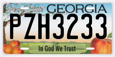 GA license plate PZH3233