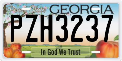 GA license plate PZH3237