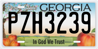 GA license plate PZH3239