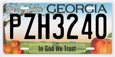 GA license plate PZH3240